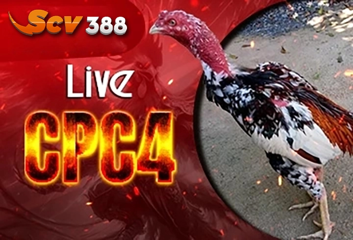 DAGAC4🎖️ Link Đá Gà Sv388 uy tín không chặn